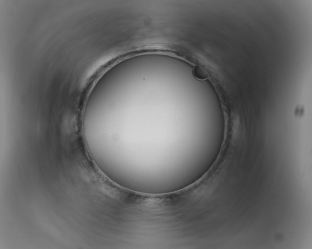 X0000113991166200910021215