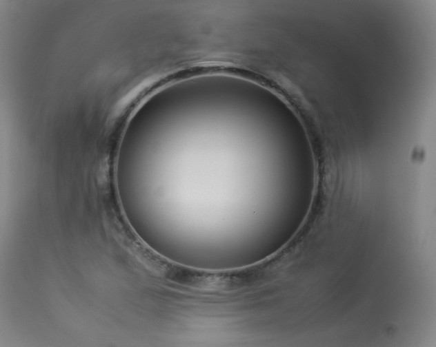 X0000113991167200910021215