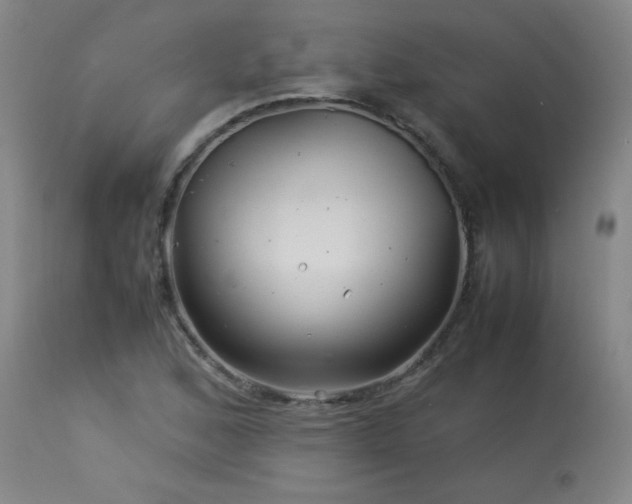 X0000113991168200910021215