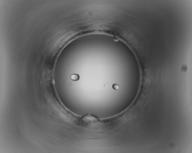 X0000113991169200910021215