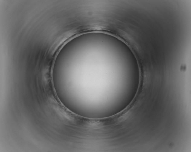 X0000113991170200910021215