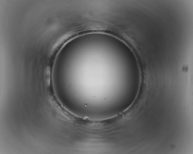 X0000113991171200910021215