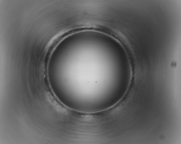 X0000113991172200910021215