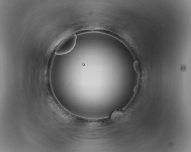 X0000113991173200910021215