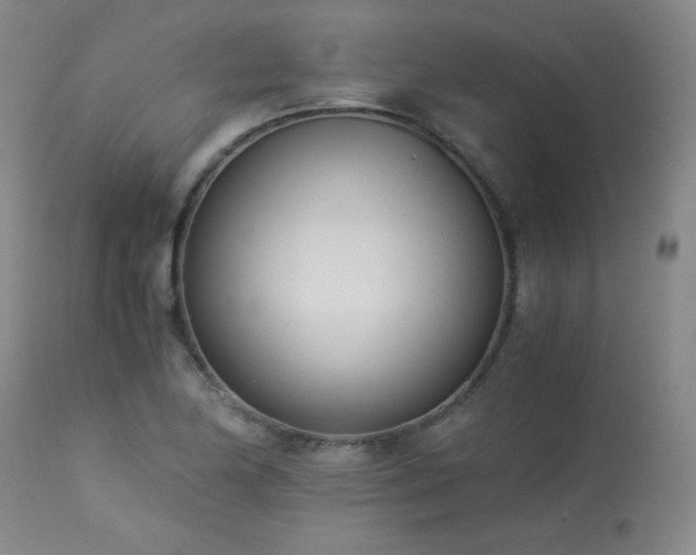 X0000113991174200910021215