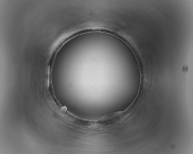 X0000113991175200910021215