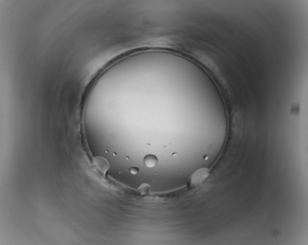 X0000113991176200910021215