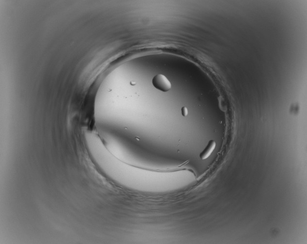 X0000113991177200910021215