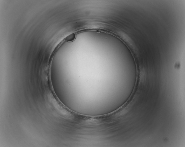 X0000113991178200910021215