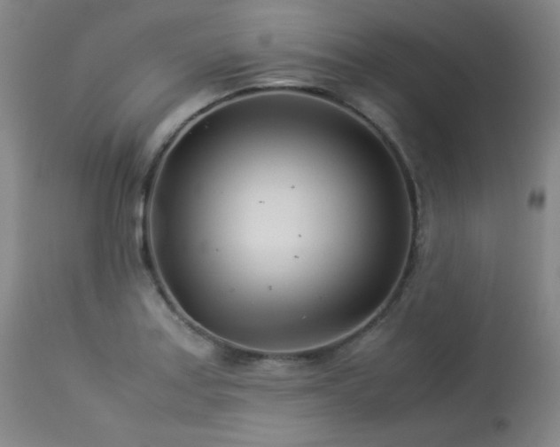 X0000113991179200910021215