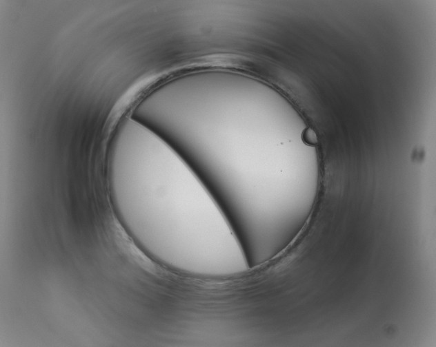 X0000113991180200910021215