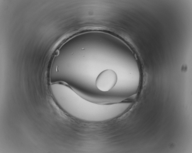 X0000113991181200910021215