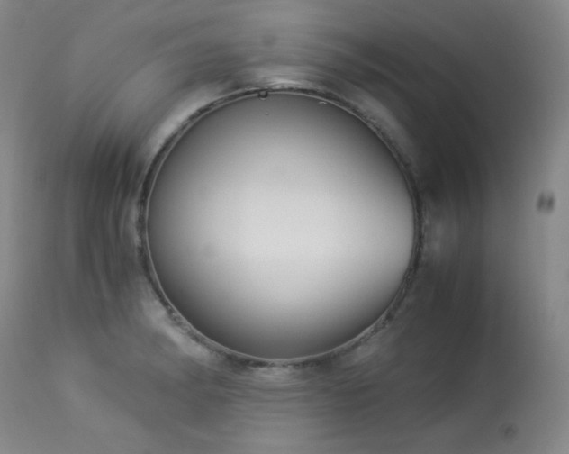 X0000113991182200910021215