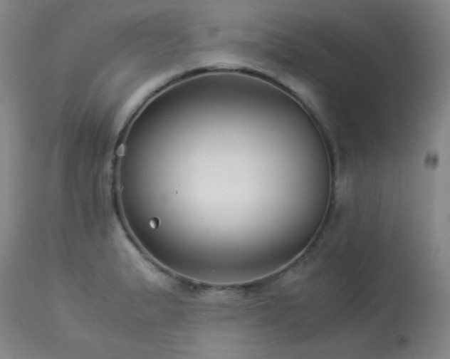 X0000113991183200910021215