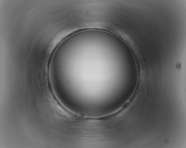 X0000113991184200910021215