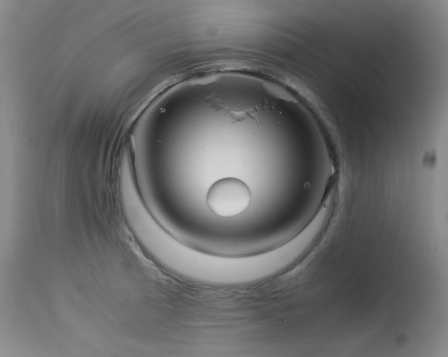 X0000113991185200910021215