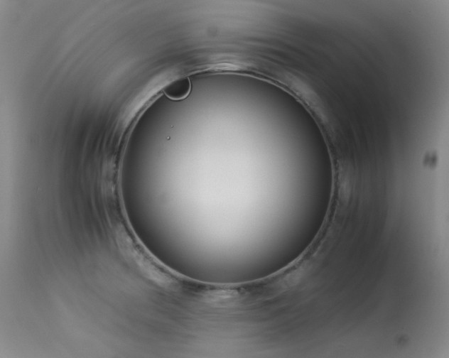 X0000113991186200910021215