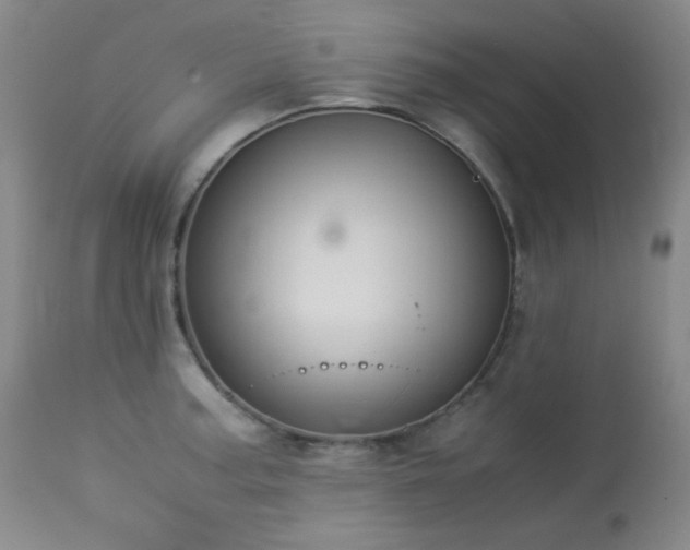 X0000113991187200910021215