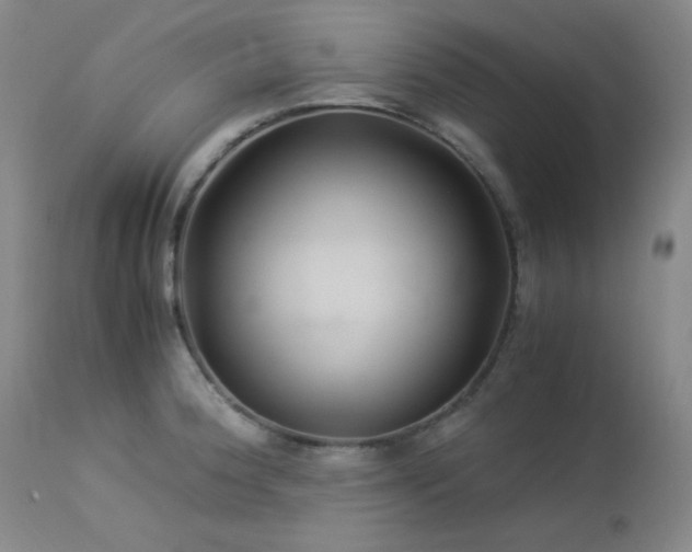 X0000113991188200910021215