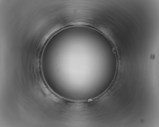 X0000113991189200910021215