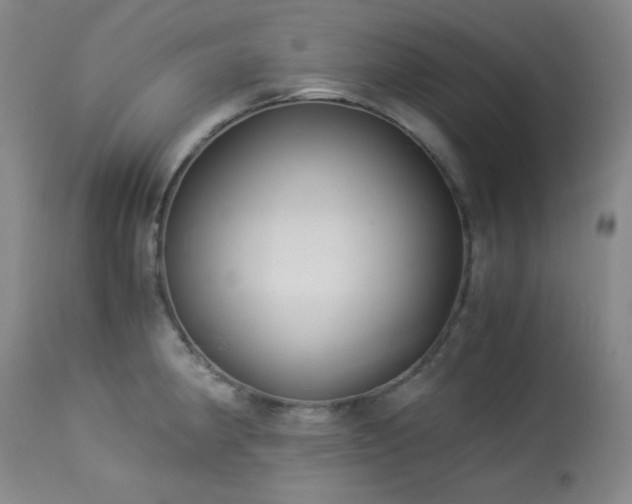 X0000113991190200910021215