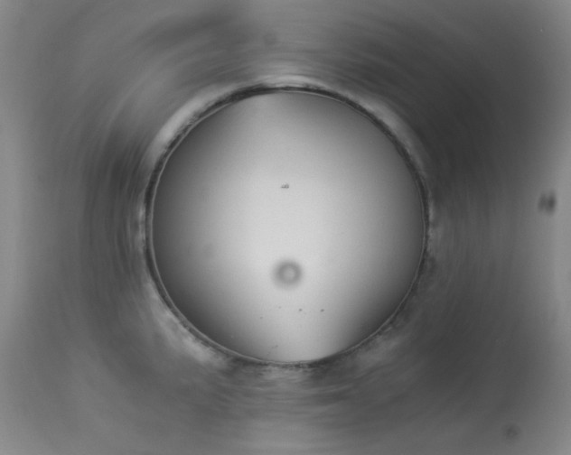 X0000113991191200910021215