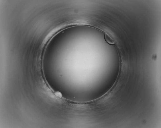 X0000113991192200910021215