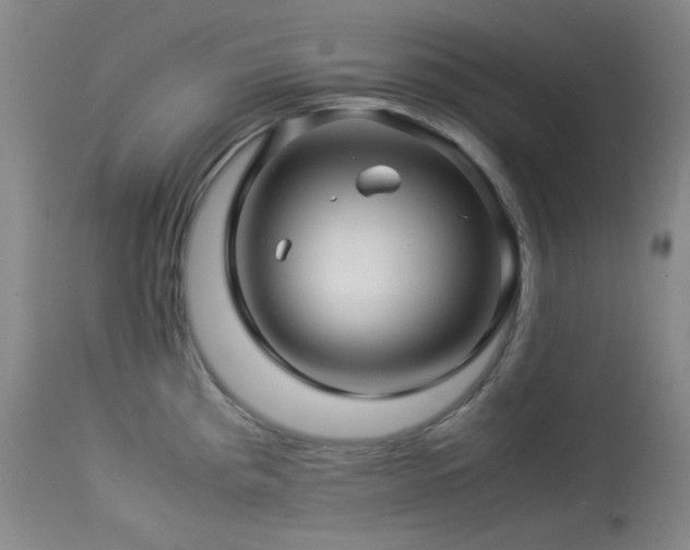 X0000113991193200910021215