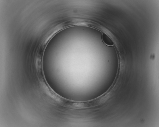 X0000113991194200910021215