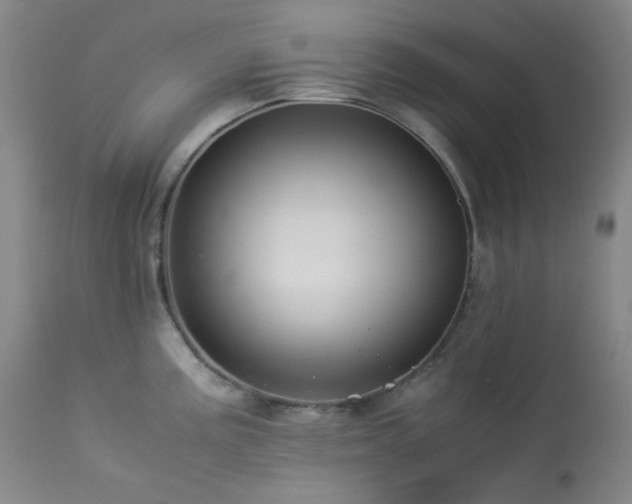 X0000113991195200910021215