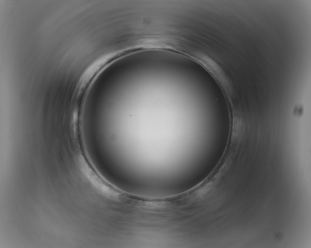 X0000113991196200910021215