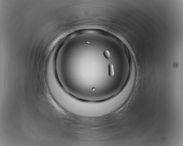 X0000113991197200910021215