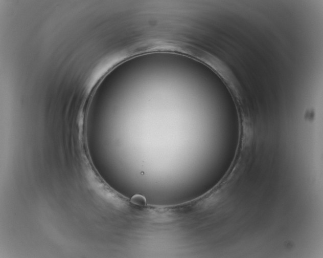 X0000113991198200910021215