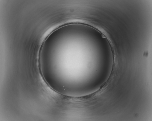 X0000113991199200910021215