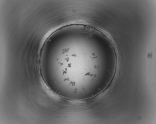 X0000113991200200910021215