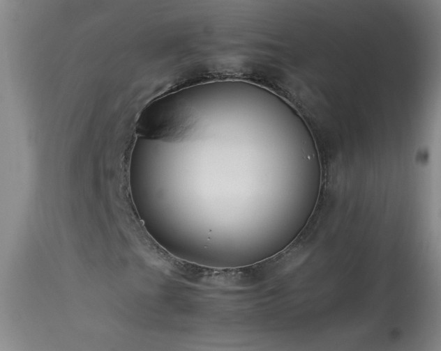 X0000113991201200910021214