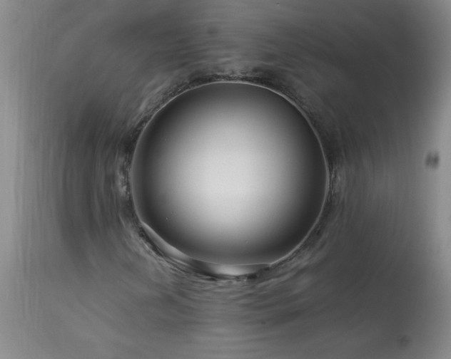 X0000113991202200910021214