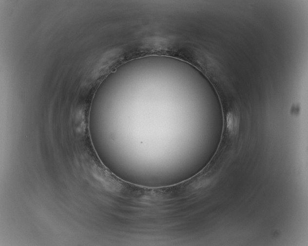 X0000113991203200910021214