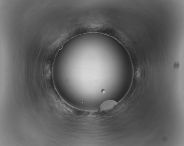 X0000113991204200910021214