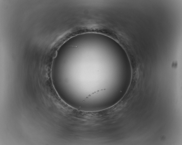 X0000113991205200910021214