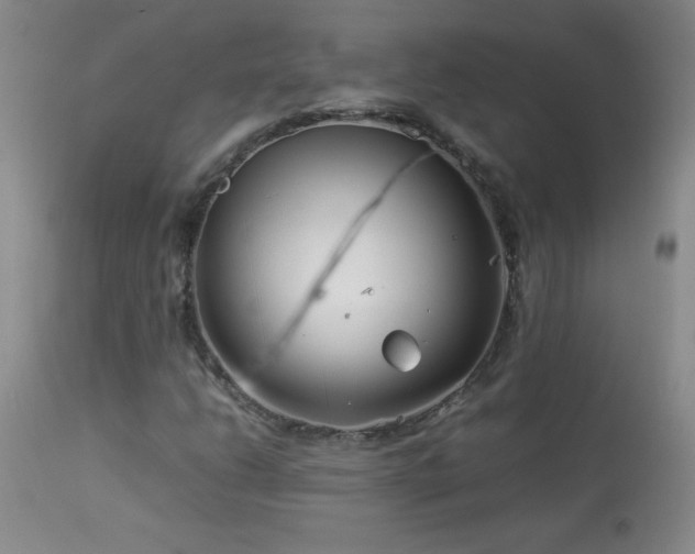 X0000113991206200910021214