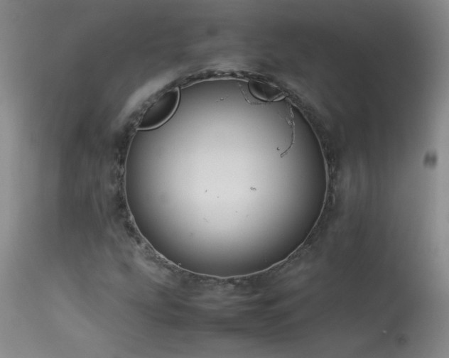 X0000113991207200910021214