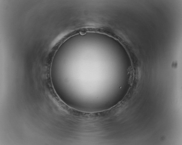 X0000113991208200910021214