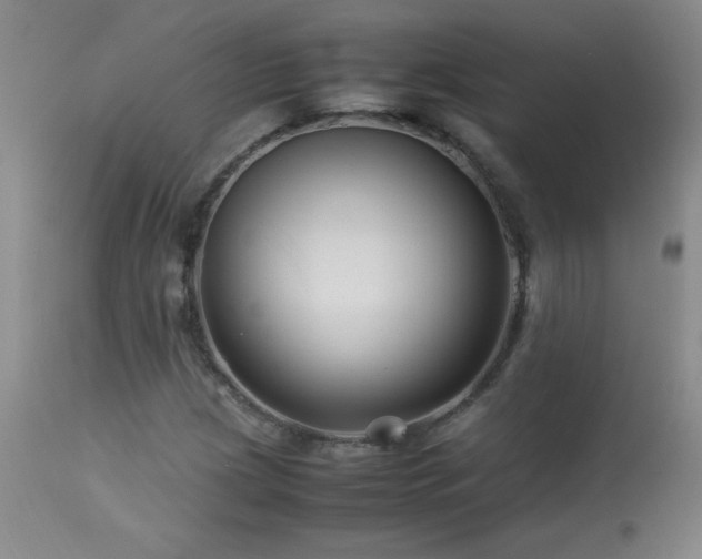 X0000113991209200910021214