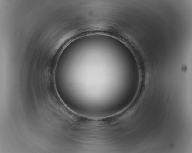 X0000113991210200910021214