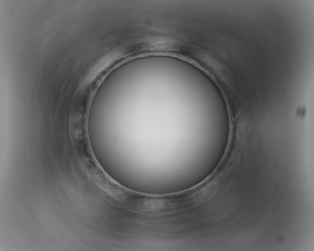 X0000113991211200910021214