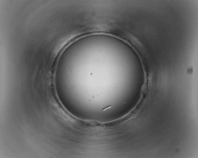 X0000113991212200910021214