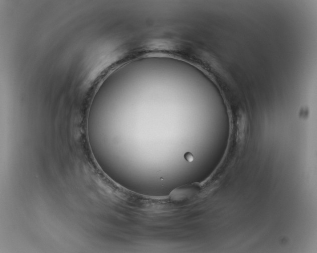 X0000113991213200910021214