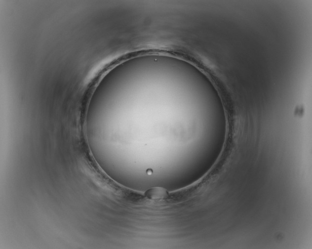 X0000113991214200910021214