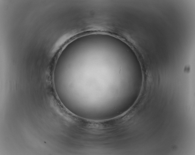 X0000113991215200910021214